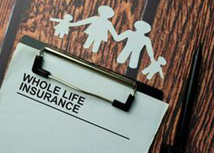 Hole of life cover image